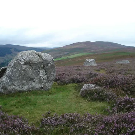 Lough Dan House Bed & Breakfast 4*